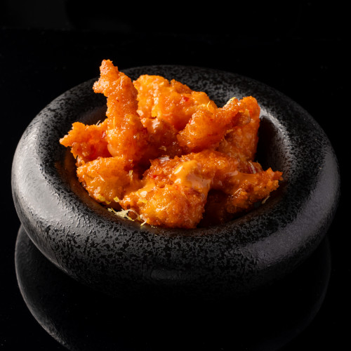 Dynamique Shrimps